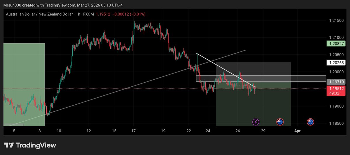 official_Mrsun001 tweet media