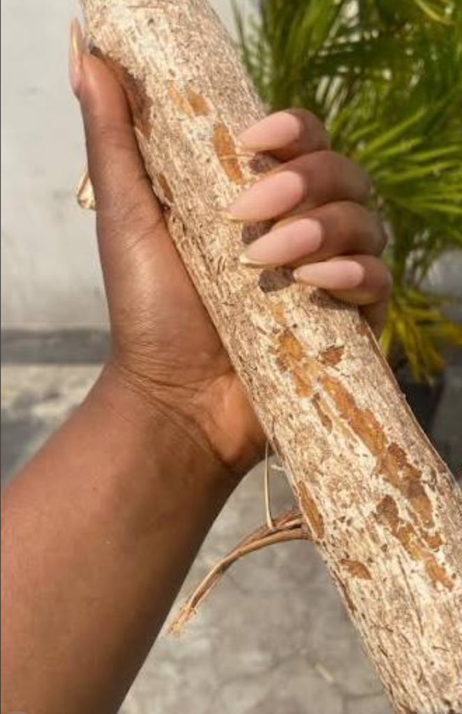 God’s Own .💡&❤️ tweet media