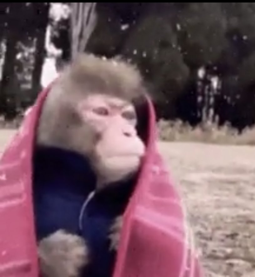 yss🇹🇳 tweet media