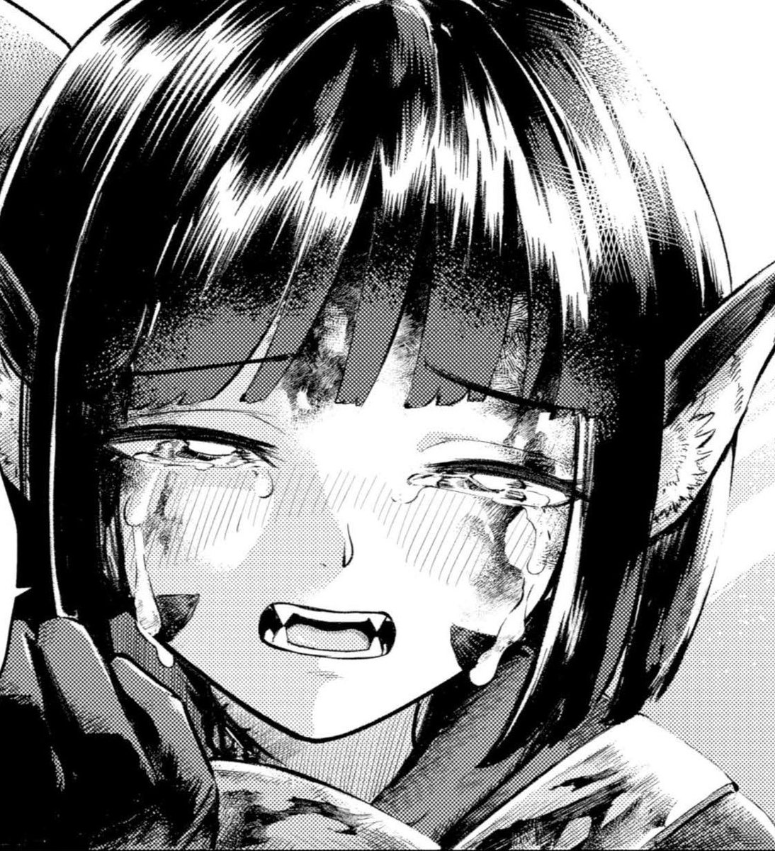 Dice / ダイス tweet media