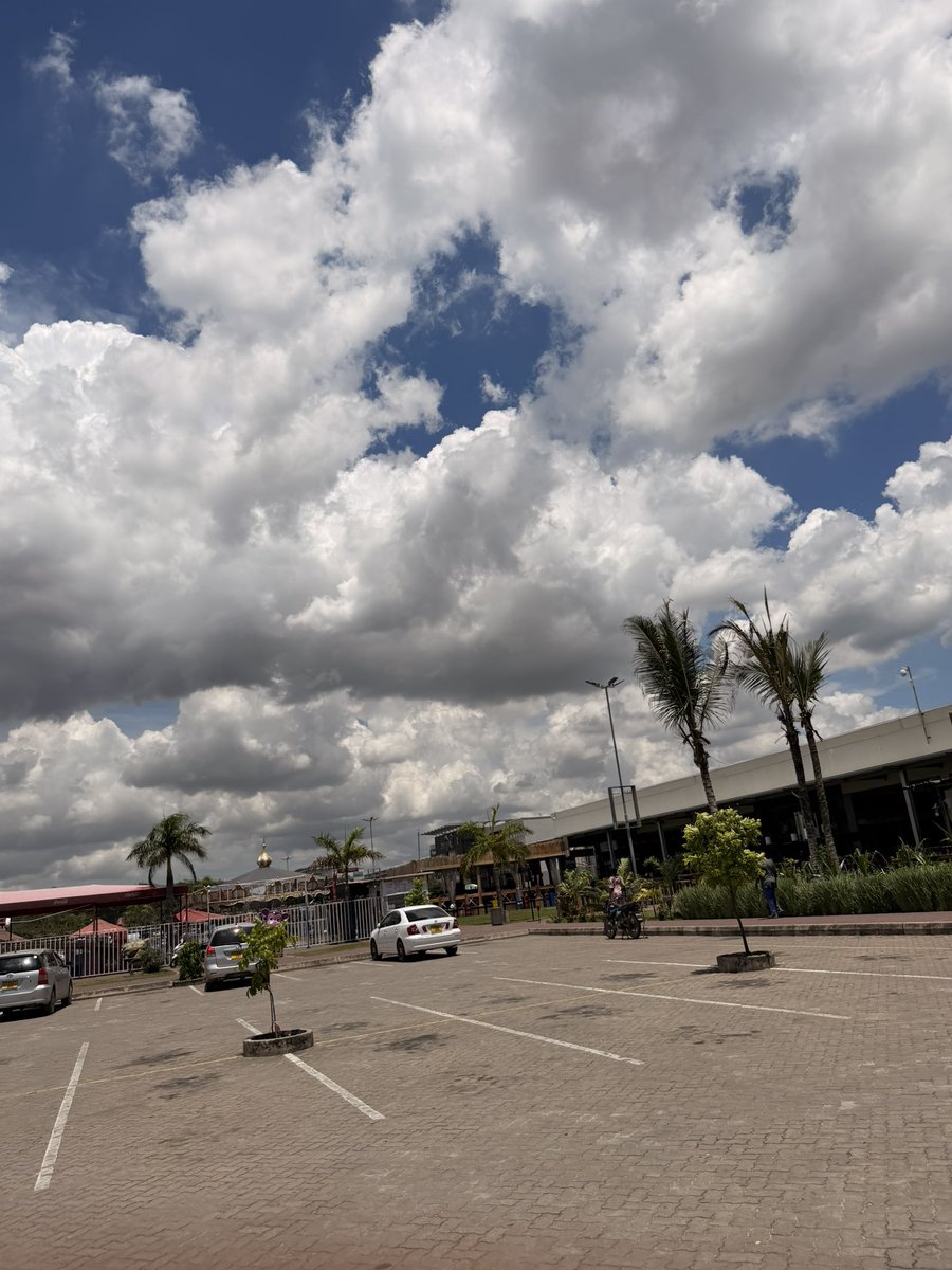 Trojan Horse 🎭 tweet media