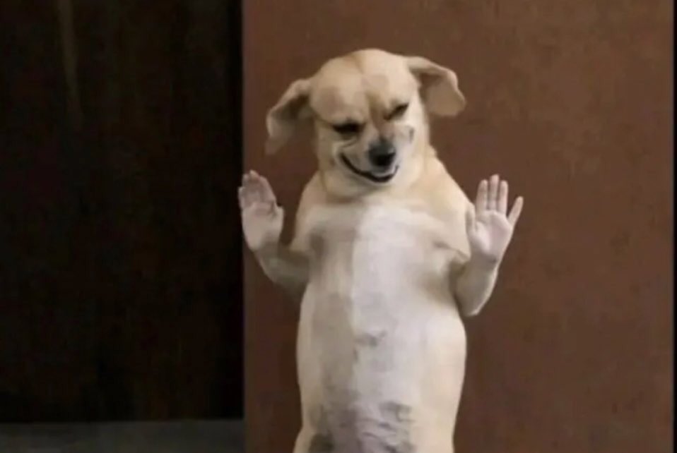 underrated tweet media