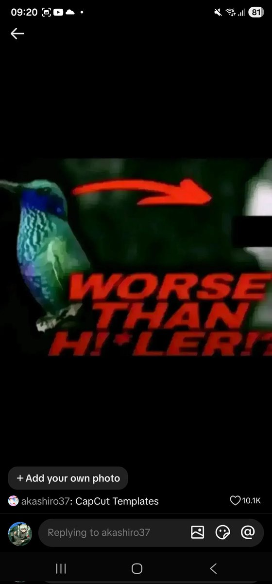 SeeNoPerer tweet media