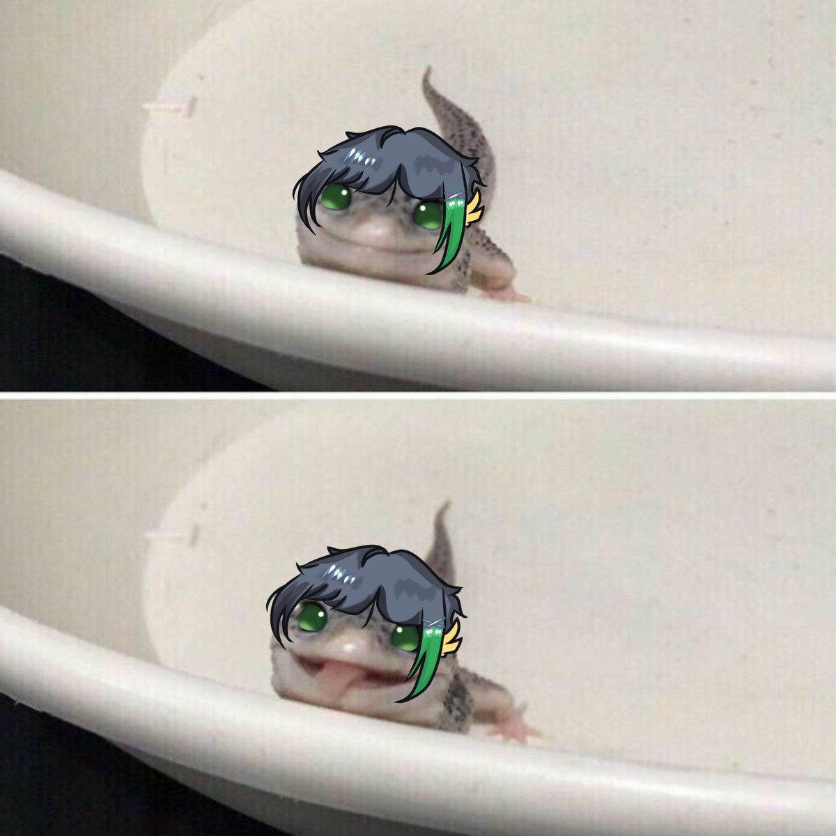 ⛓️🎵Shiraᶻ 𝗓 𐰁 .ᐟ tweet media