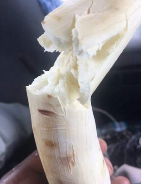 Rorly Gary Omoding tweet media