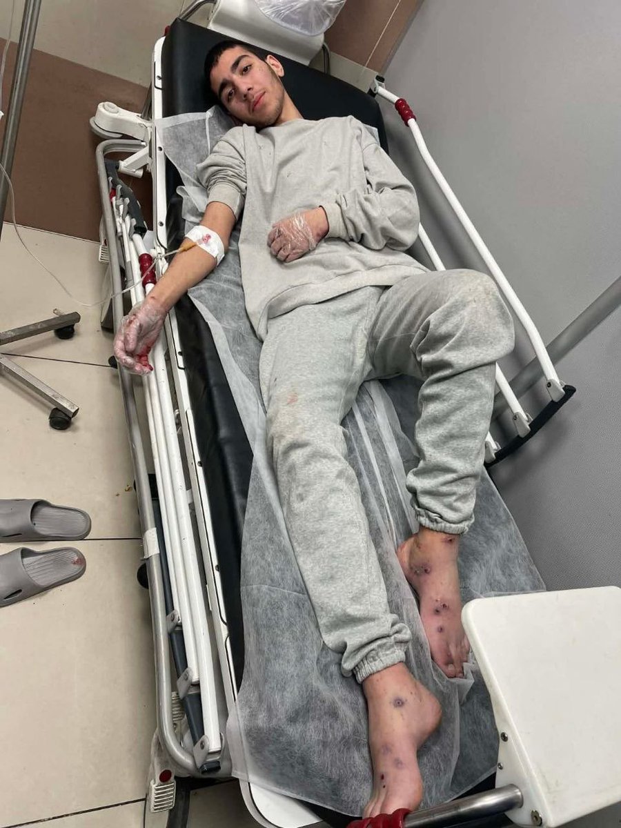 Tamer | تامر tweet media