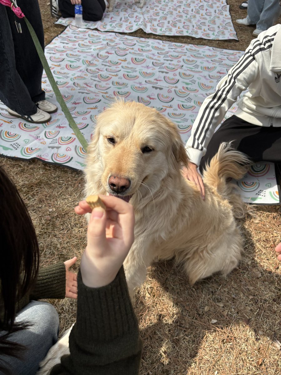 jelline kim tweet media