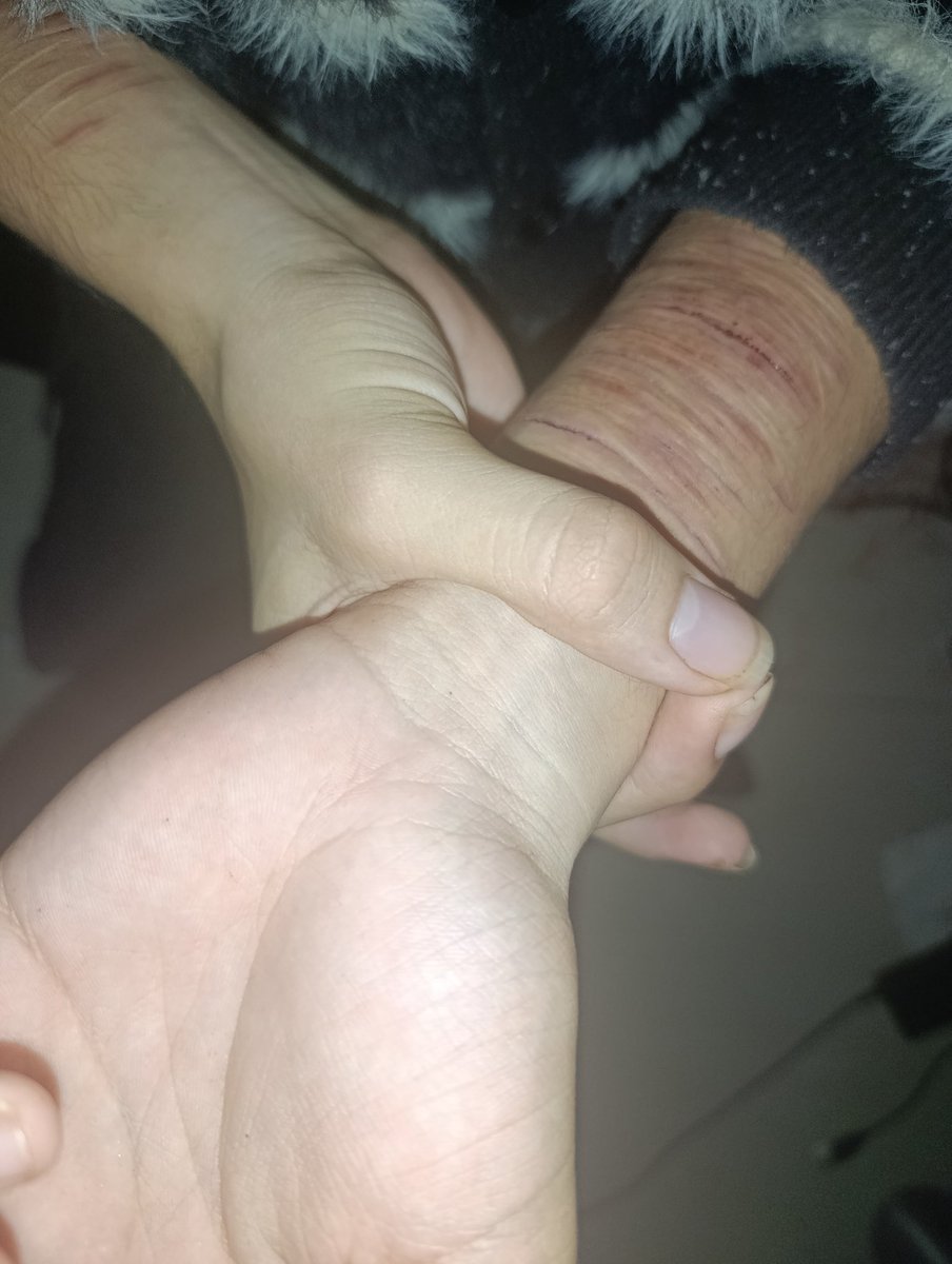 eLizolam tweet media