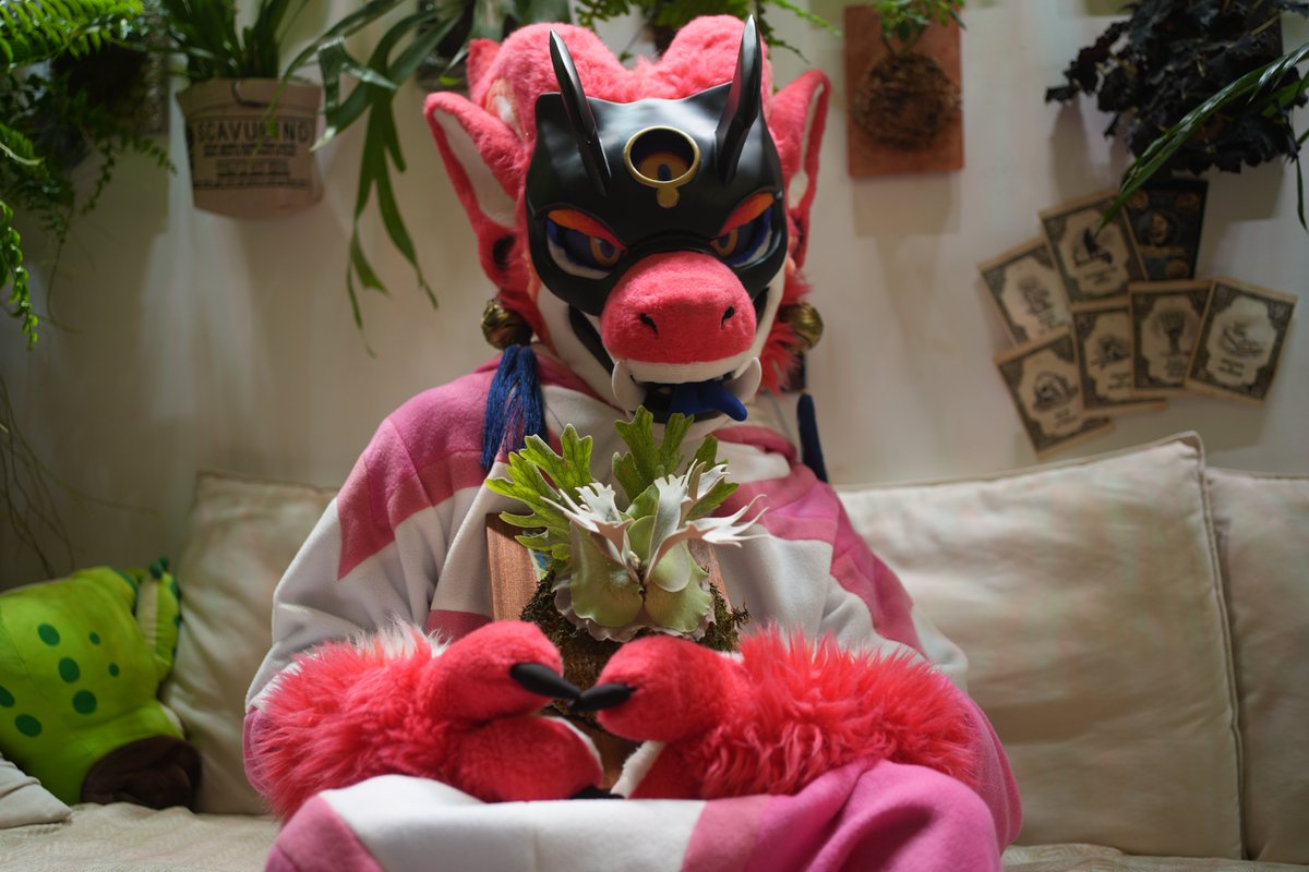 XVI🔜云幽岛 兽行迹 OFFF tweet media