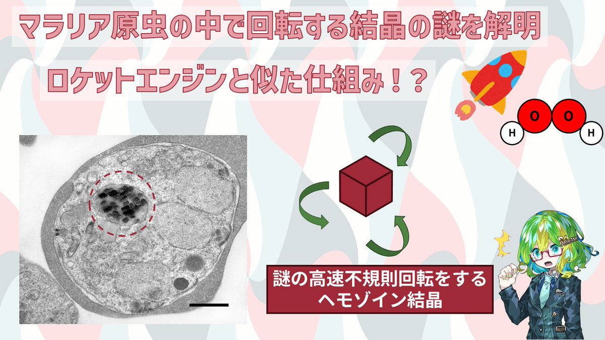 彩恵りり🍀科学ライター兼Vtuber (寄稿先募集中/5メディアで連載中) tweet media