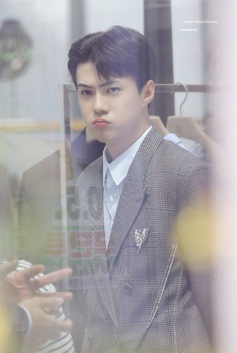 끼토산 tweet media