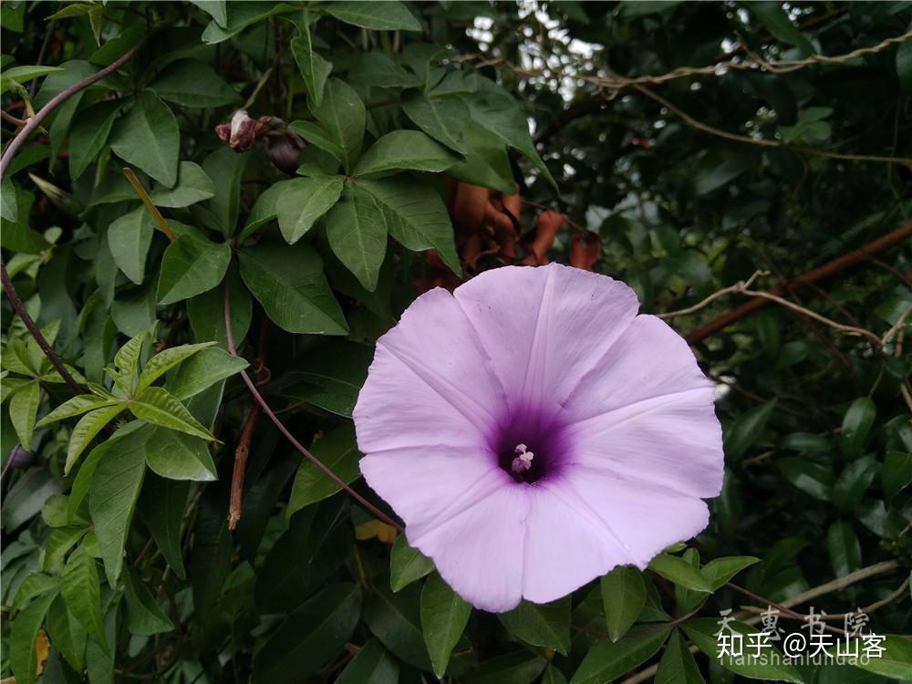 Neil F. Martin, M.D. tweet media