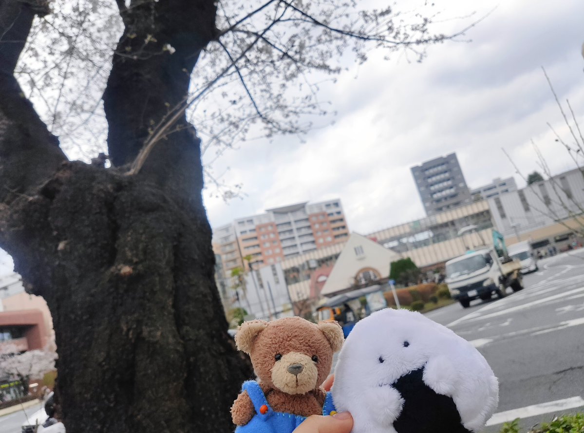 LuLuSugar tweet media