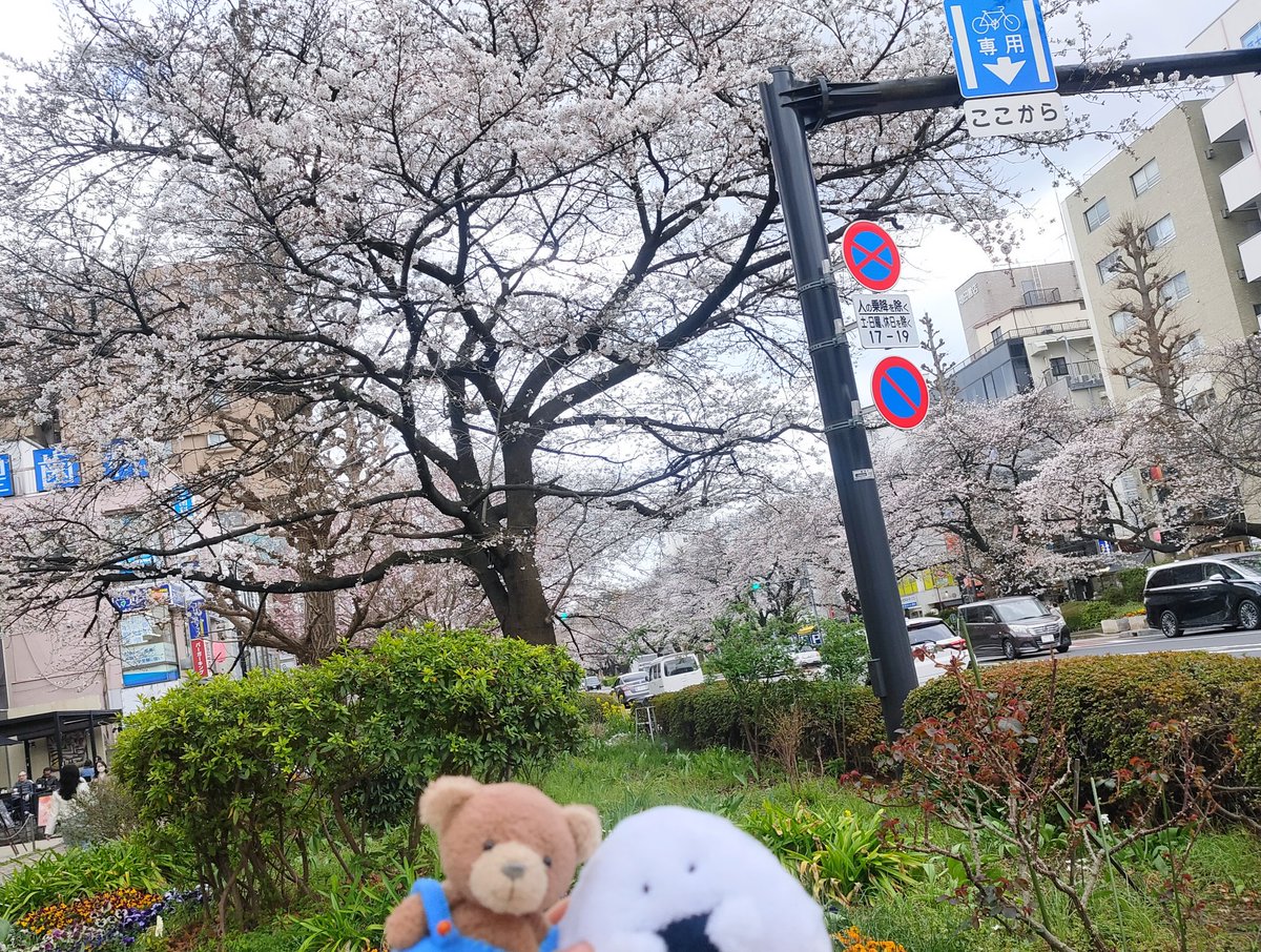 LuLuSugar tweet media