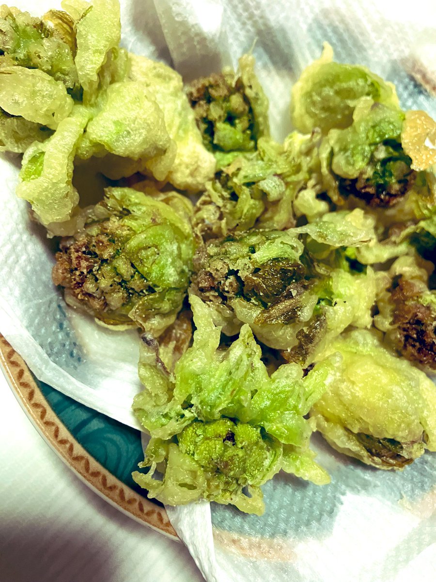 へっち　投資　犬　田舎暮し　ガチ菜園 tweet media