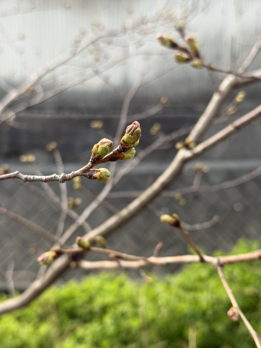 なかのだ＠ tweet media