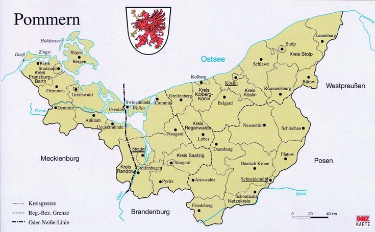 Darius J. Piwowarczyk tweet media