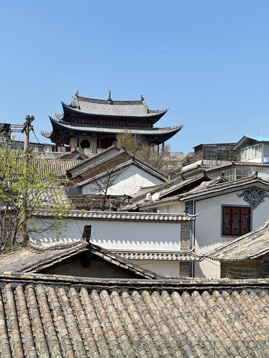 A A SHIRE tweet media