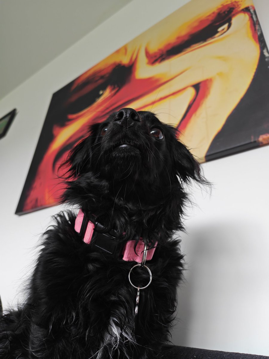 Chloe Eves tweet media