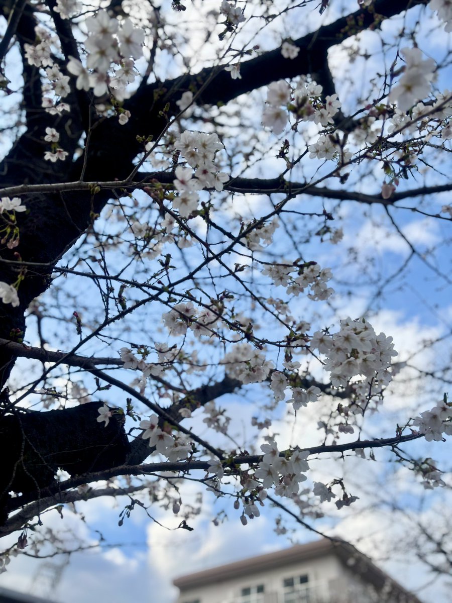 湯浅 円（ナレーター） tweet media