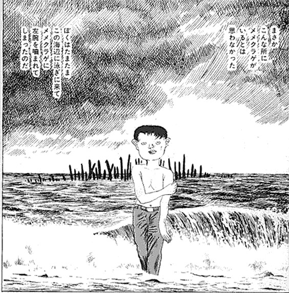 温泉ペンギン tweet media