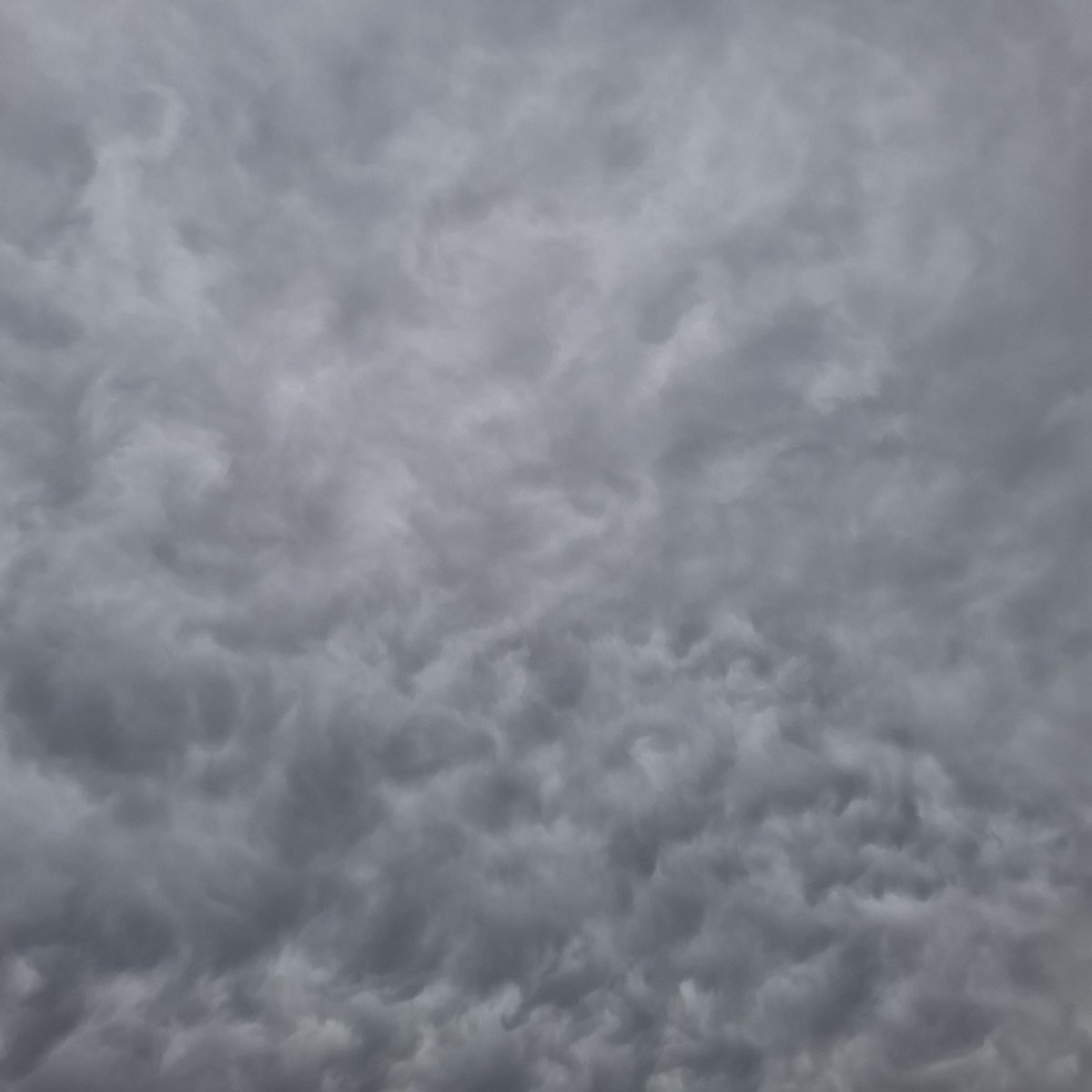 إيلاف🫀. tweet media