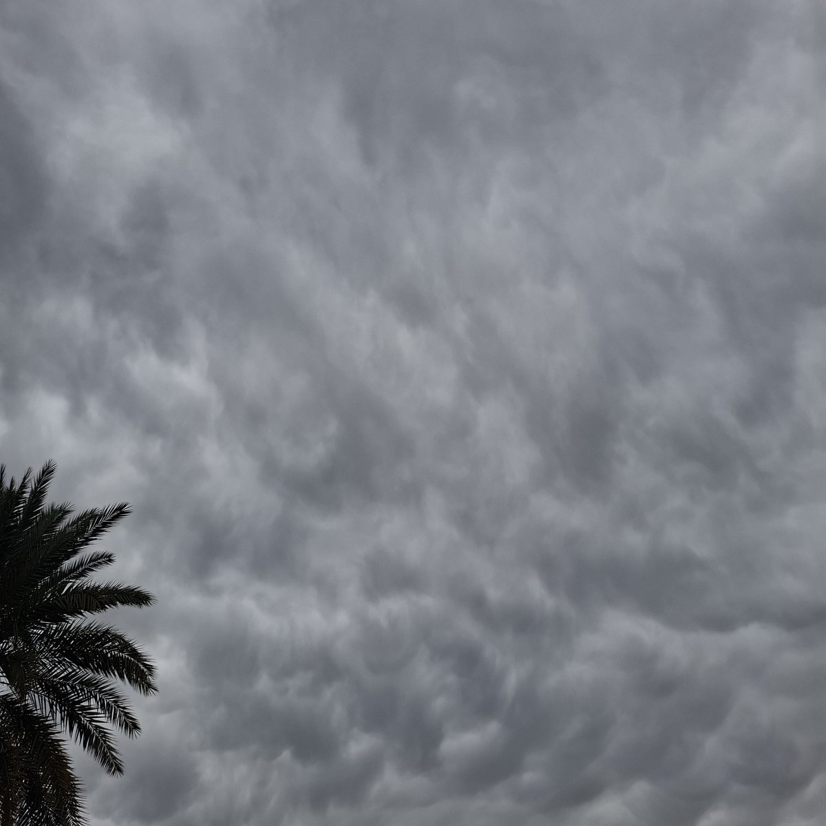 إيلاف🫀. tweet media