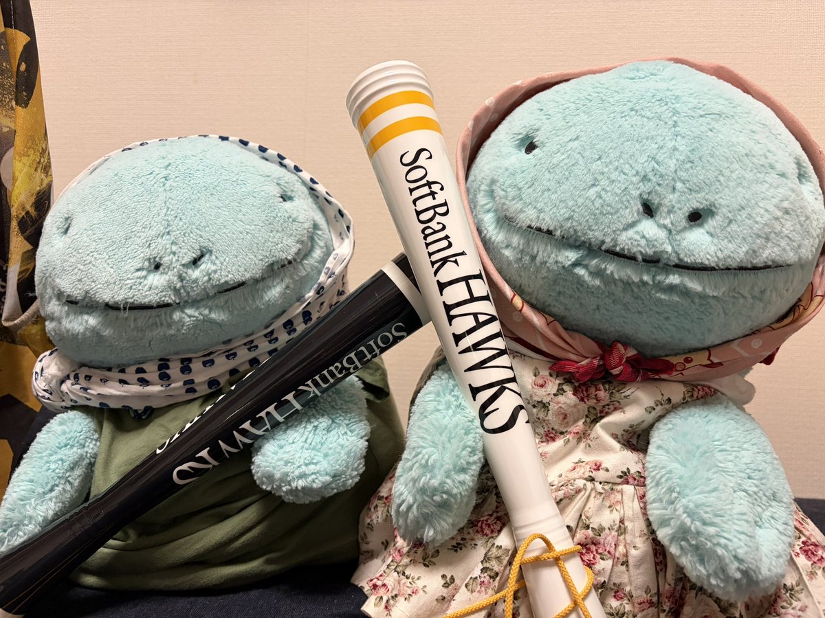 はち🔍☕️ tweet media