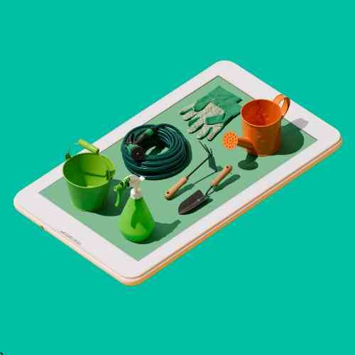 GlobalOwls 🌎 tweet media