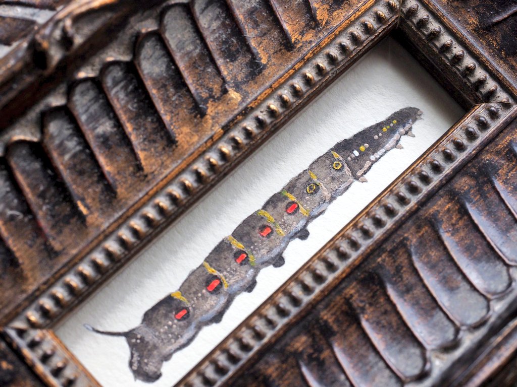 ツカナ制作所 Tukana Craftworks tweet media