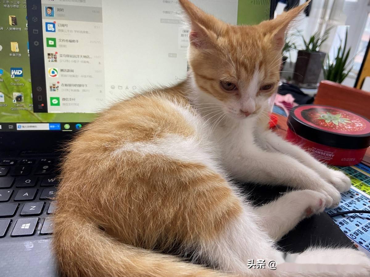 Madeline Matis tweet media