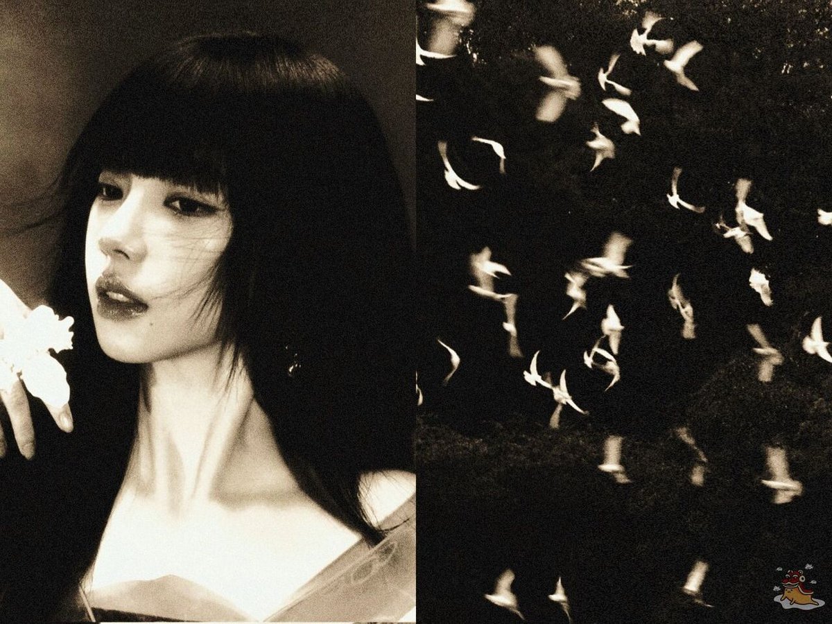 OCIE .ᐟ 🩷🎄 tweet media