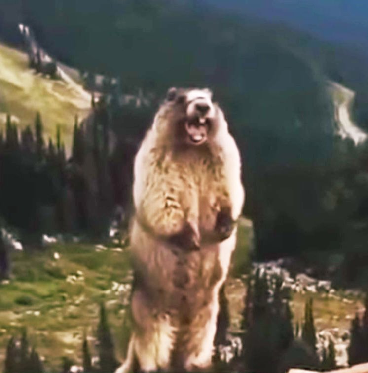 BAR YELLOW FLAG|佐賀 カラオケバー tweet media