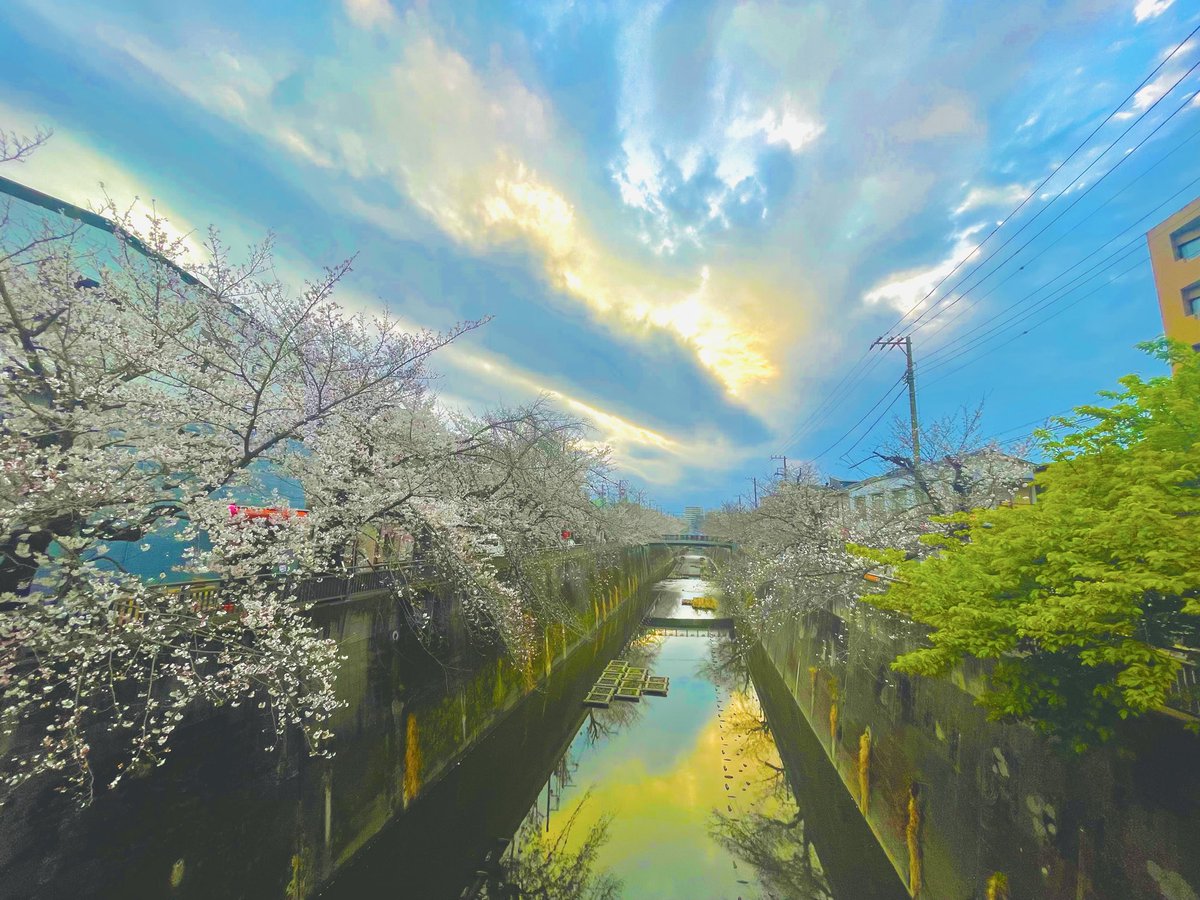 御﨑由依佳 tweet media