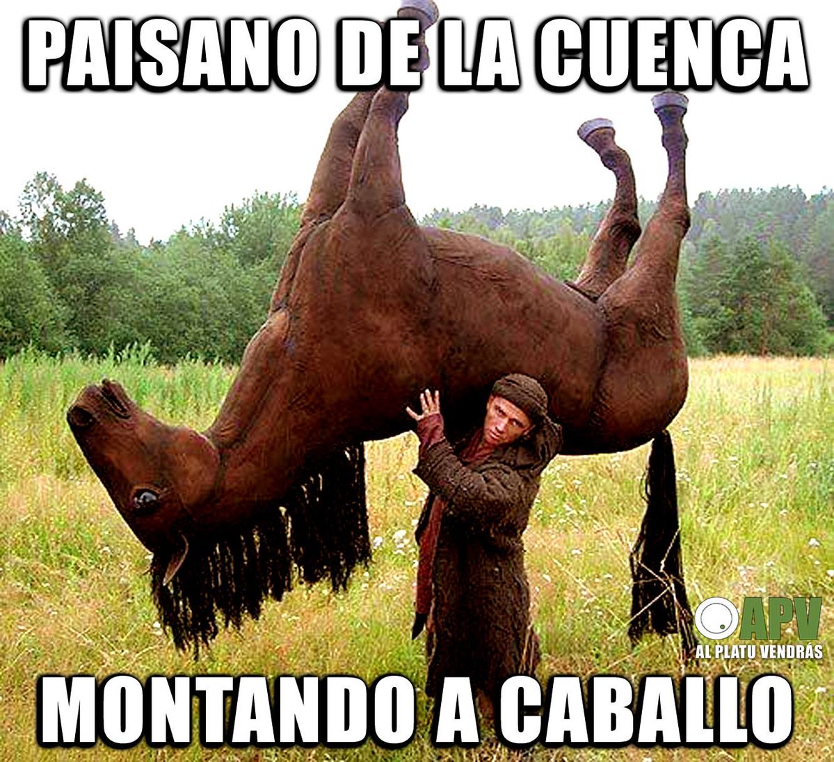 AL PLATU VENDRÁS tweet media