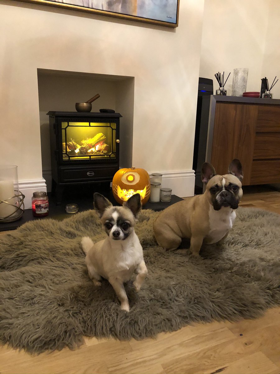 RapstaRob's tweet image. I have to say goodbye to my beautiful boy and best friend Bailey today, he takes his journey across the rainbow bridge. 🌈
He has been the one constant in my life and pulled me through many dark times. 
I love you Bailey, our spirits will meet again. 💔#Baz #mybestfriend