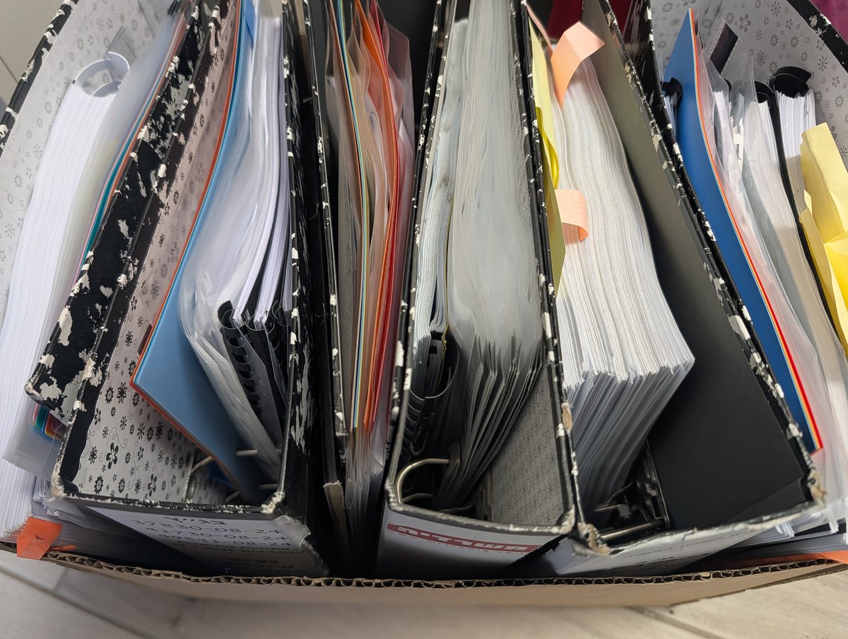 David Peter דוד פטר tweet media