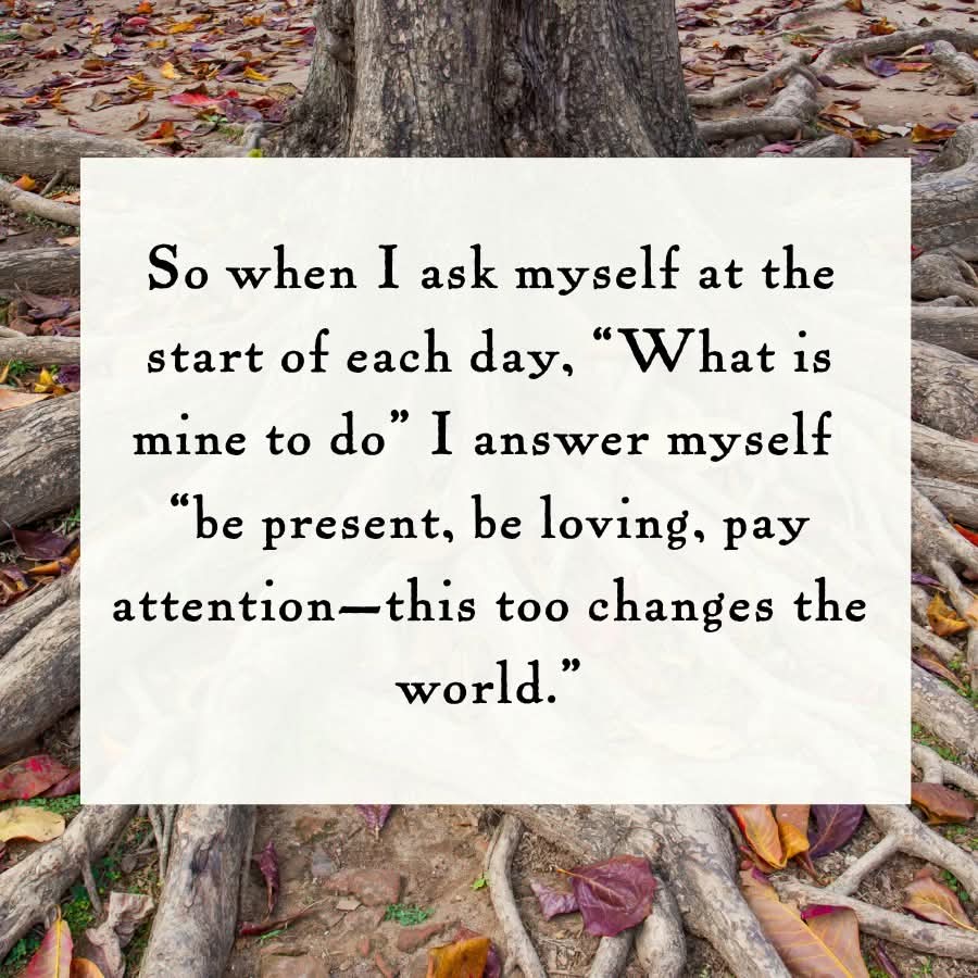 Into The Forest Dark tweet media