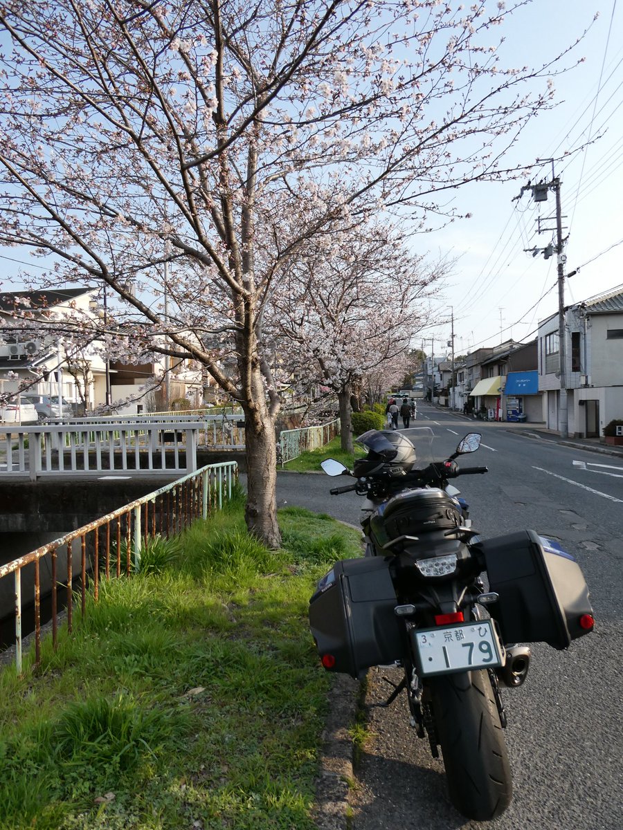 CAROL_S1000GT's tweet photo. 今年初のおバイク。

#suzuki #gsxs1000gt https://t.co/Ianc9gk1Al