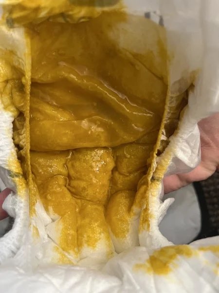 Bayside Boxing tweet media