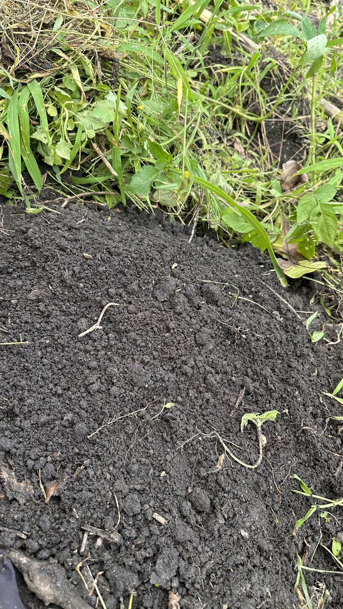 Farm_villee's tweet photo. When was the last time you saw black soil? https://t.co/YE5F4bXXzY