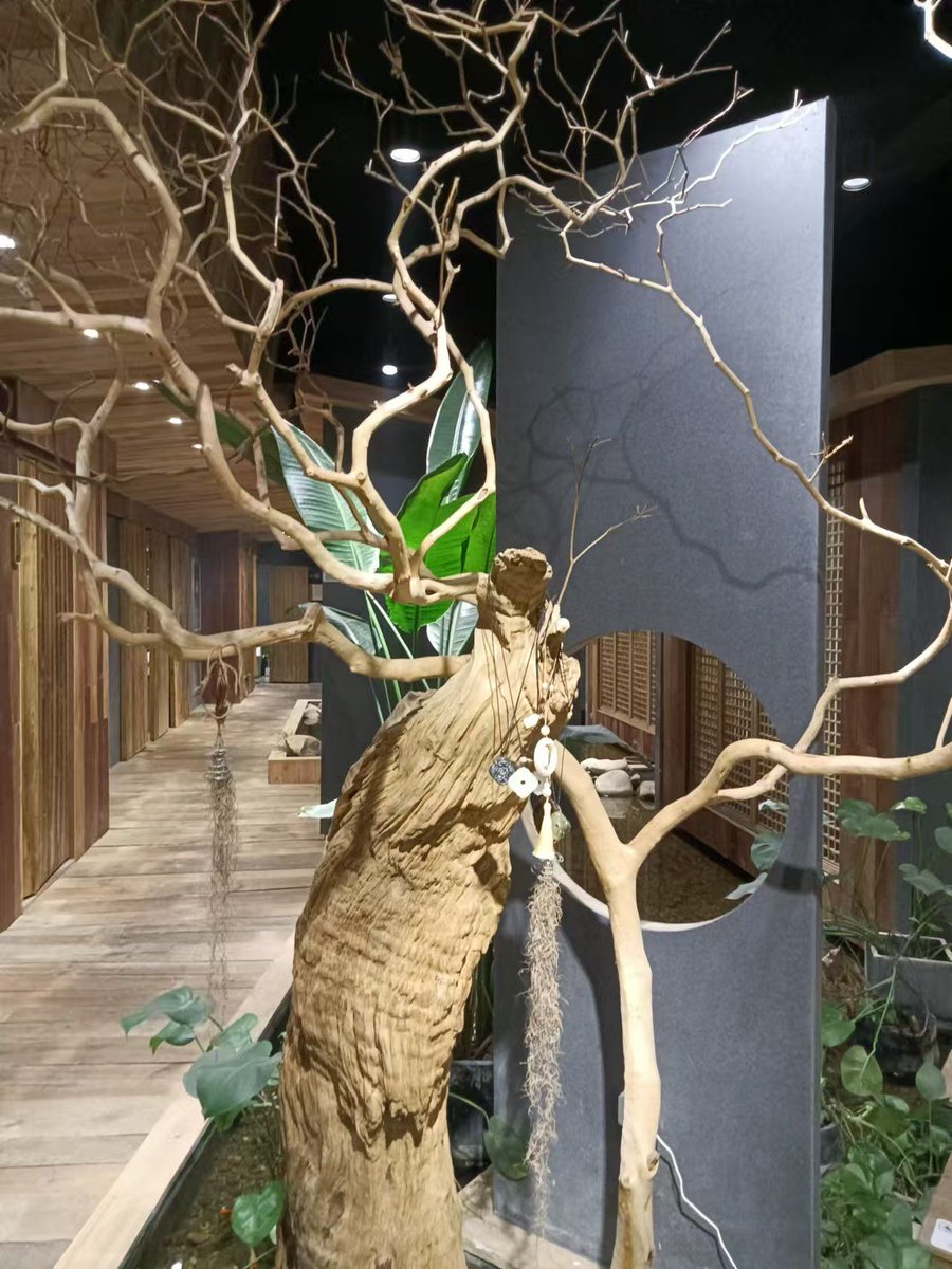 Amit Jangra tweet media