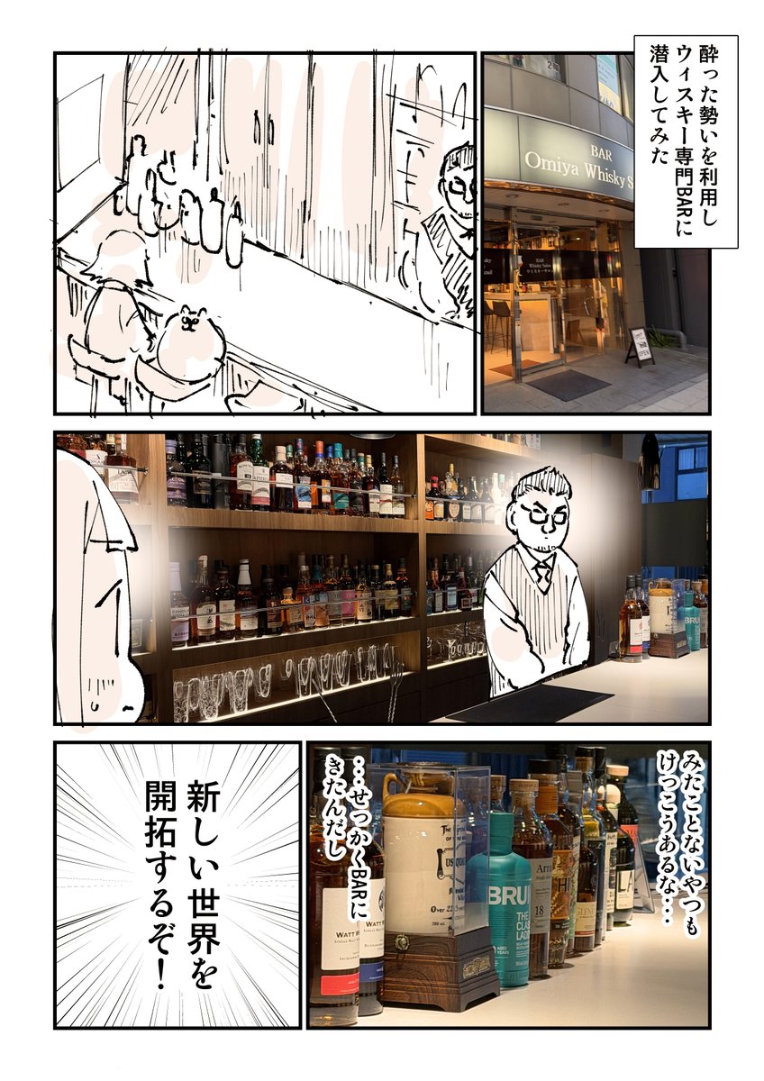 ぬこー様ちゃん@ロードバイク狂 tweet media