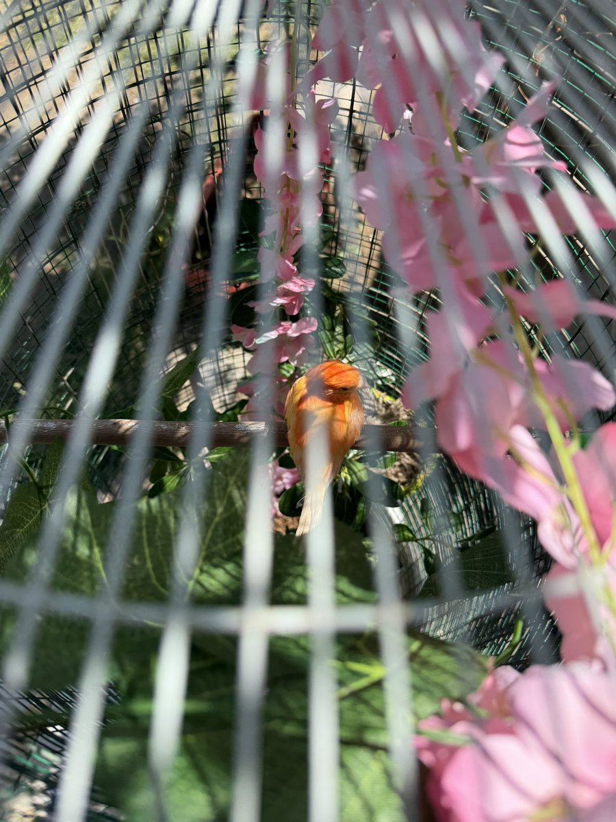 حـسـن ⚖️ tweet media