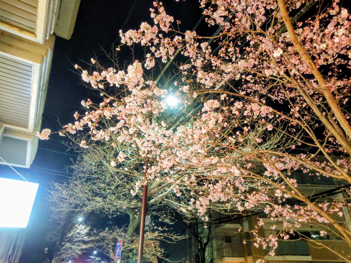 NATS AUDIO tweet media