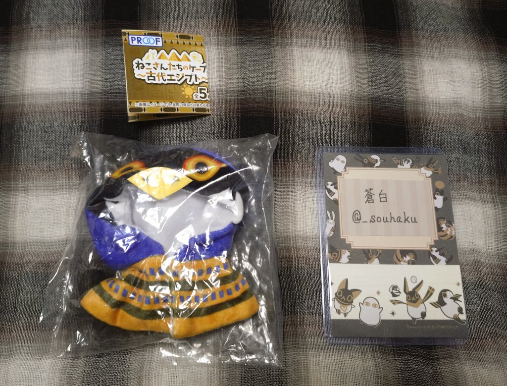 蒼白 tweet media