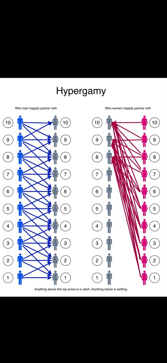 Interstella 5555 tweet media