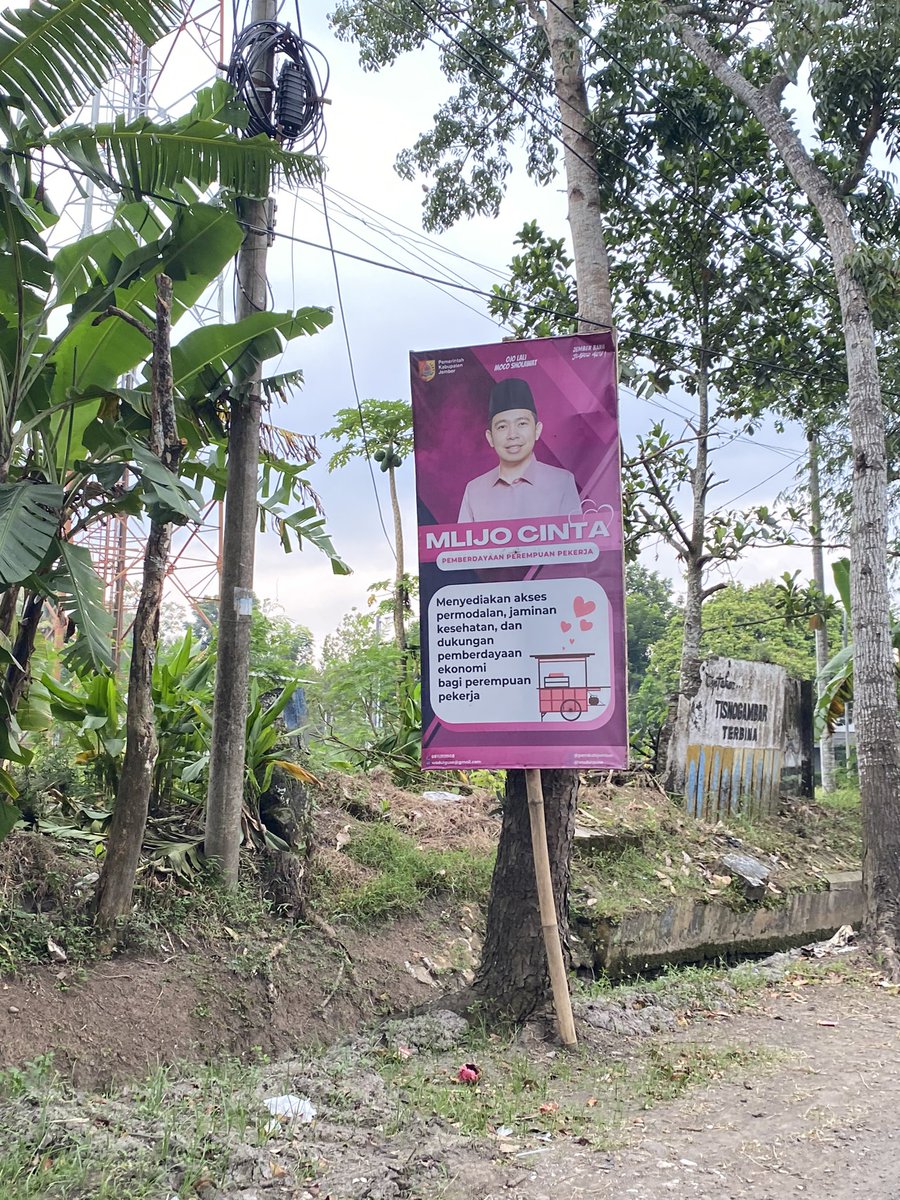 bubu miyo tweet media