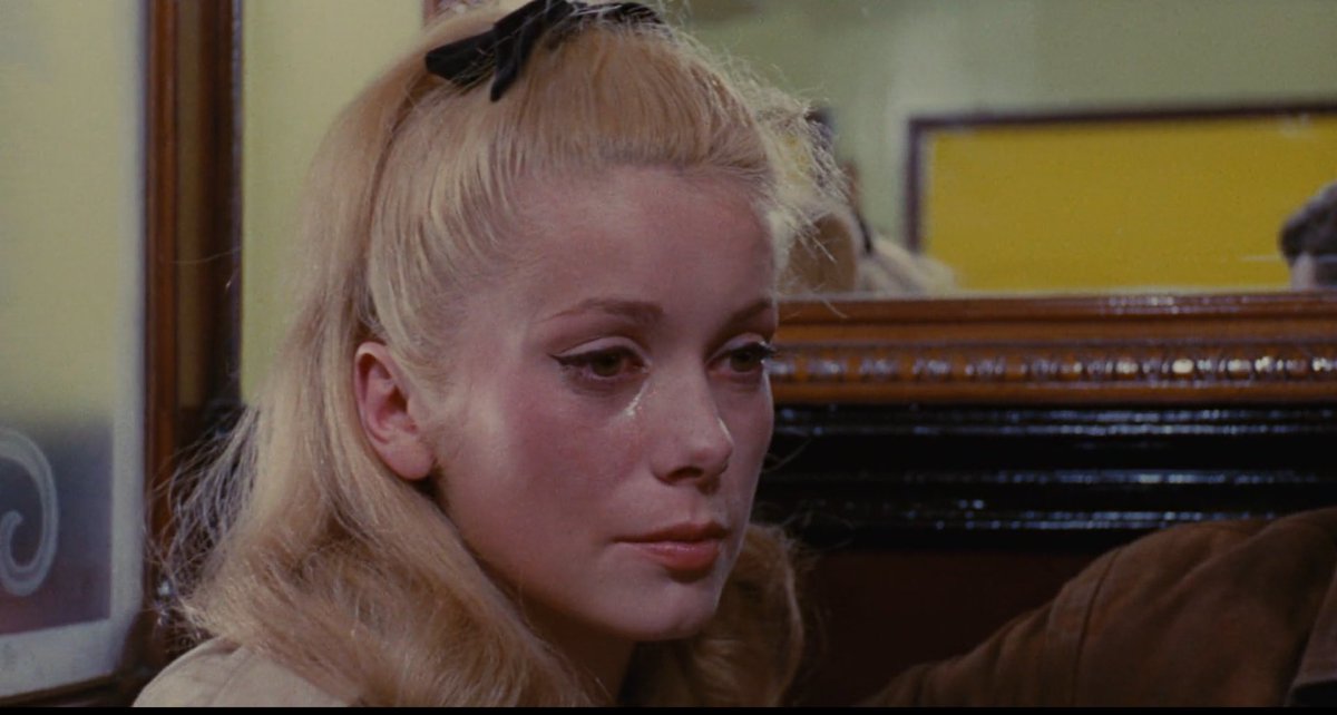 daria 🦢 tweet media