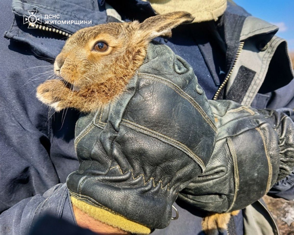 Ukrinform tweet media